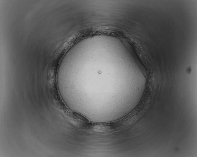 X0000116680708200912291719