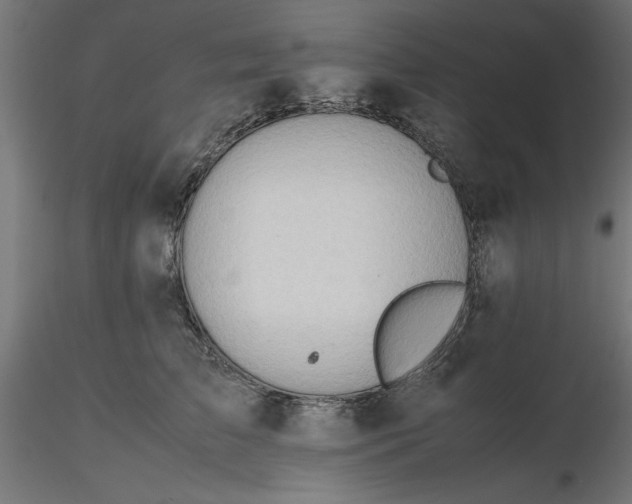 X0000116680709200912291719