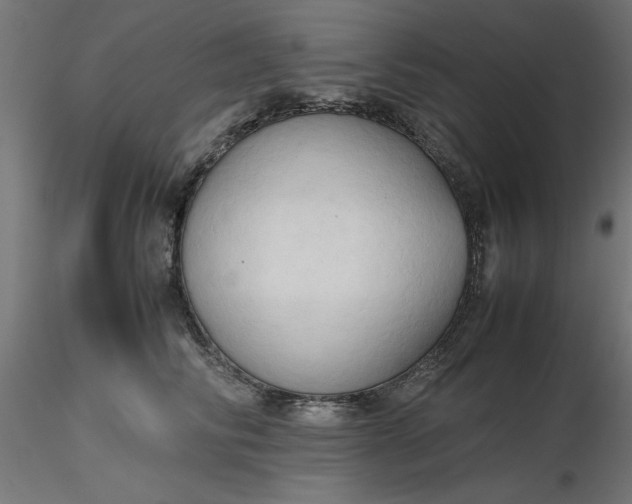 X0000116680710200912291719