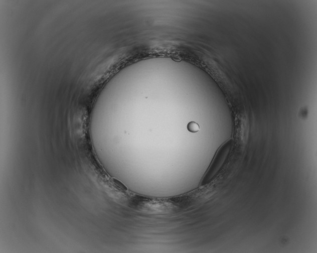 X0000116680712200912291719