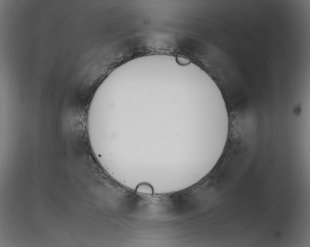 X0000116680713200912291719