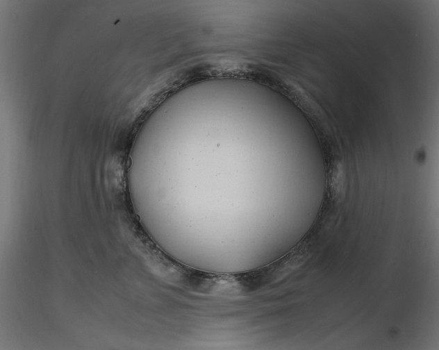 X0000116680715200912291719