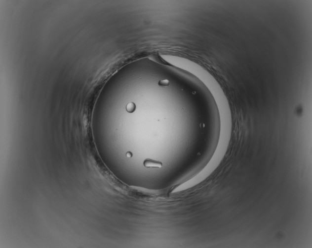 X0000116680716200912291719