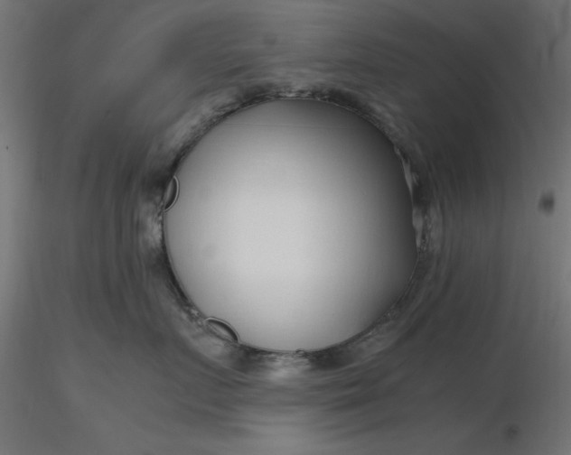 X0000116680719200912291719