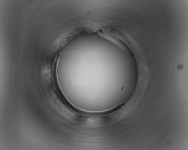 X0000116680720200912291719