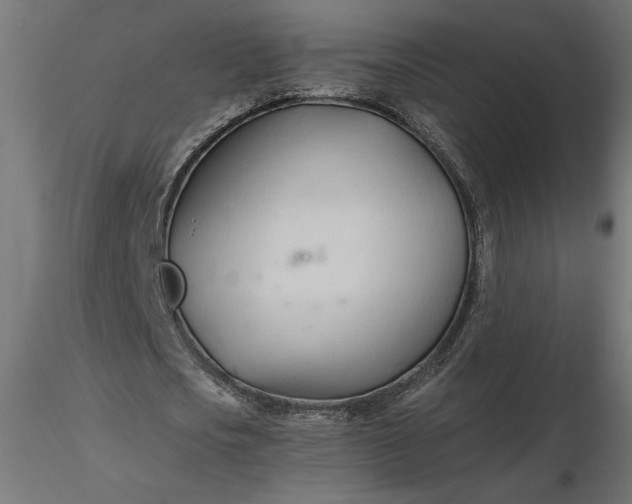 X0000116680721200912291719