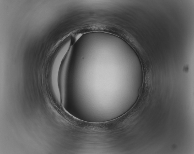 X0000116680722200912291719