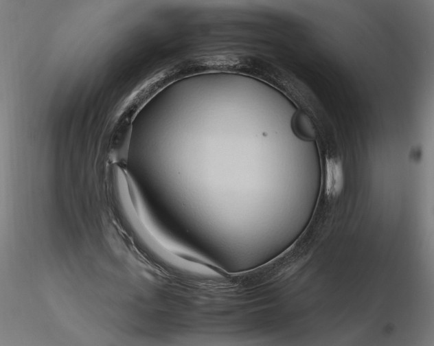 X0000116680723200912291719