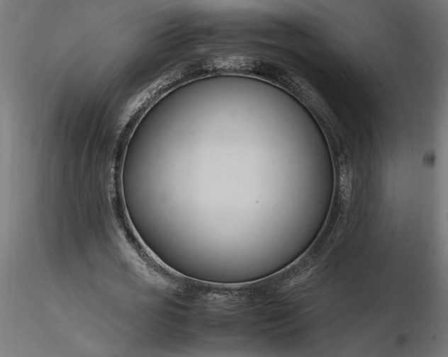 X0000116680725200912291719