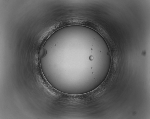 X0000116680729200912291719