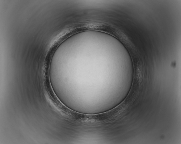 X0000116680730200912291719