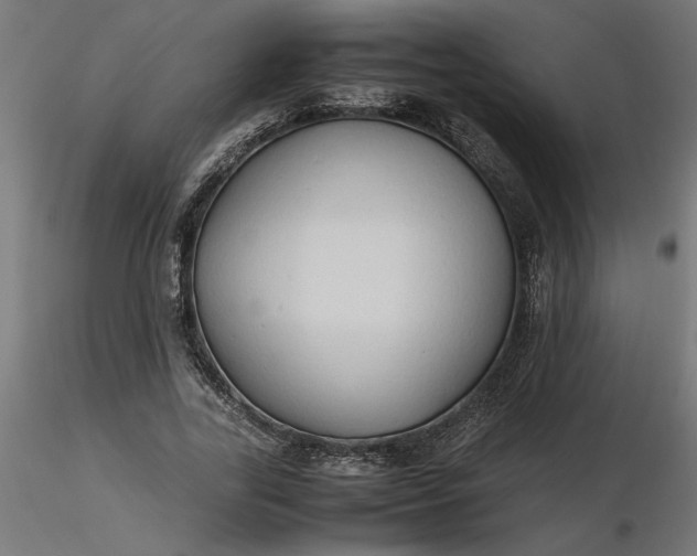 X0000116680731200912291719