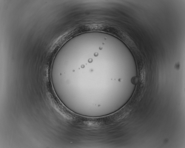 X0000116680733200912291719