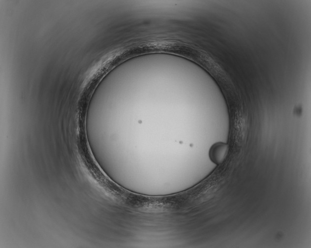 X0000116680734200912291719