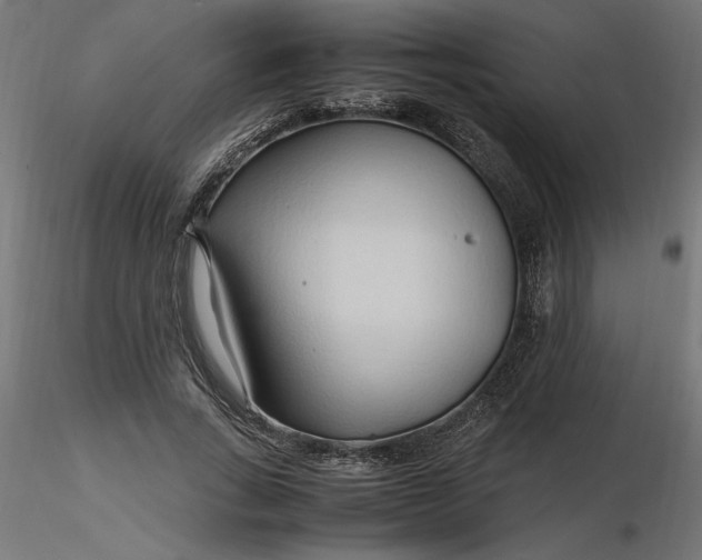 X0000116680735200912291719