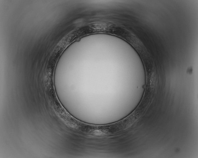 X0000116680737200912291719