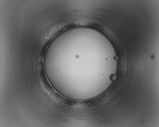 X0000116680738200912291719