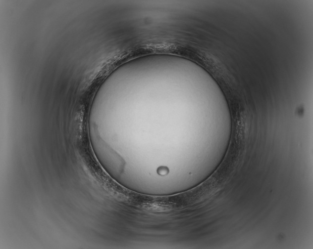 X0000116680739200912291719