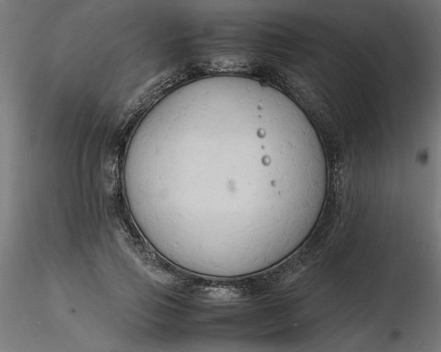 X0000116680741200912291719