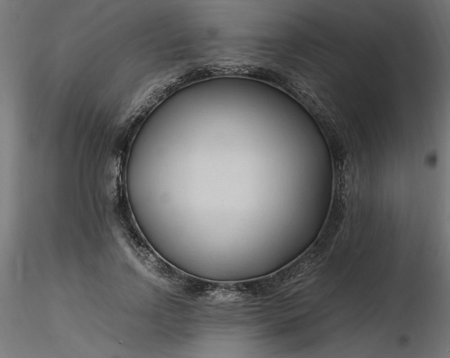 X0000116680742200912291719