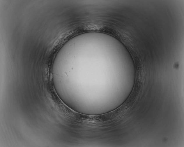 X0000116680743200912291719