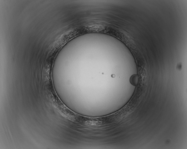 X0000116680745200912291719