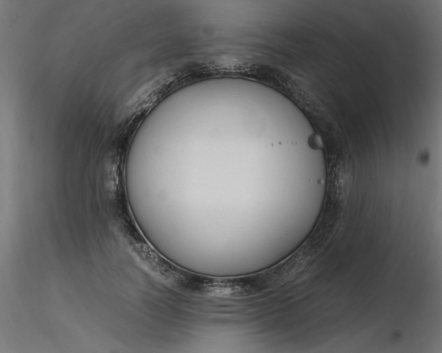 X0000116680746200912291719