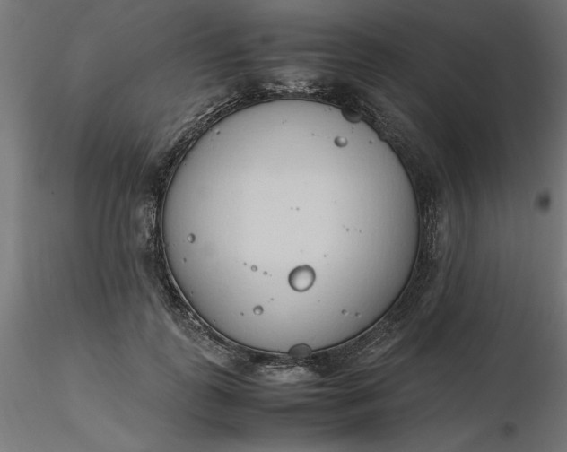 X0000116680747200912291719