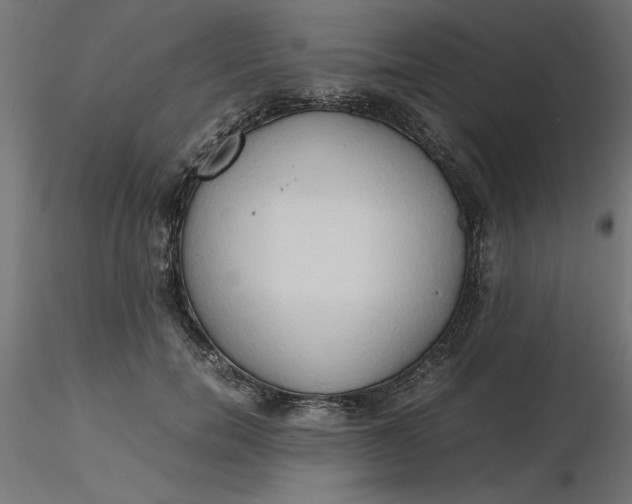 X0000116680750200912291719