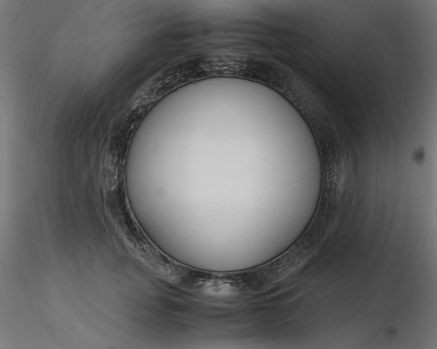 X0000116680751200912291719