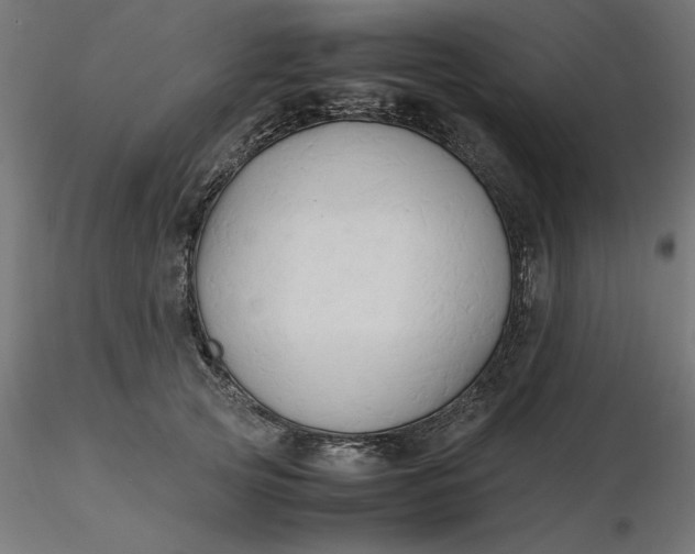 X0000116680753200912291719