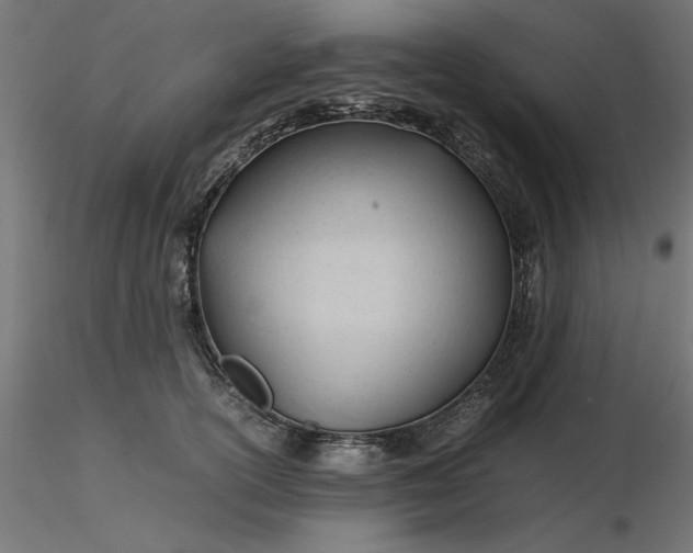 X0000116680754200912291719