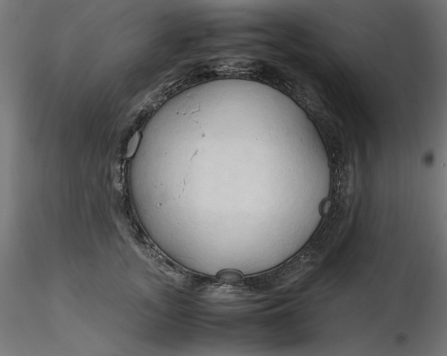 X0000116680755200912291719