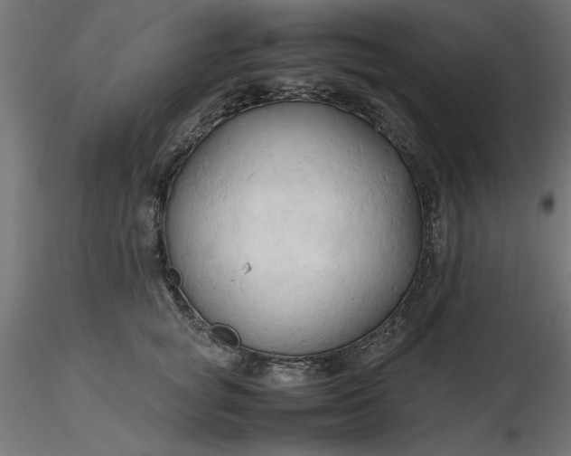 X0000116680757200912291719