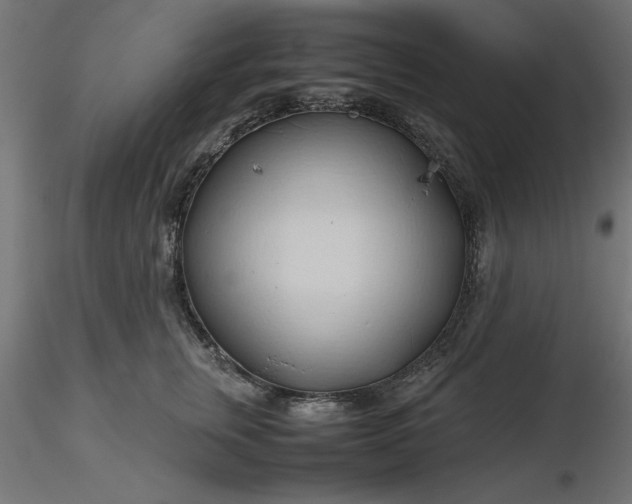 X0000116680759200912291719