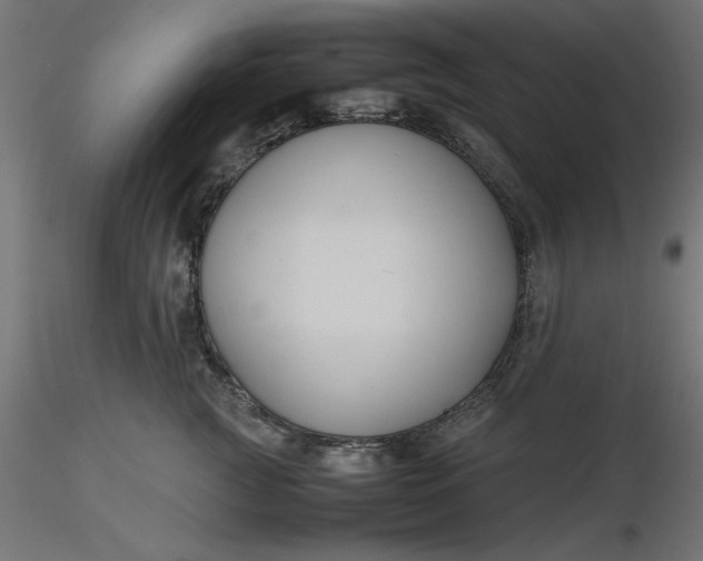 X0000116680761200912291719