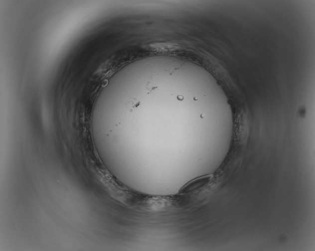 X0000116680762200912291719