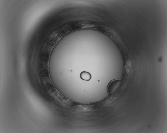 X0000116680763200912291719