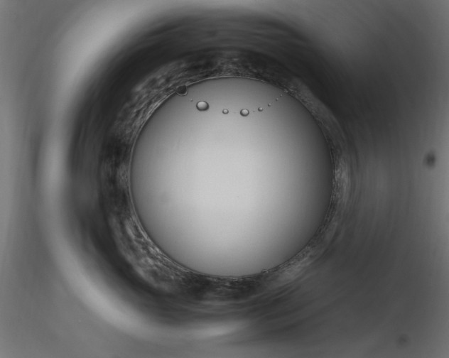 X0000116680765200912291719