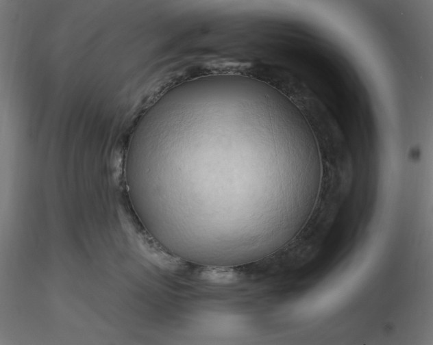 X0000116680767200912291719