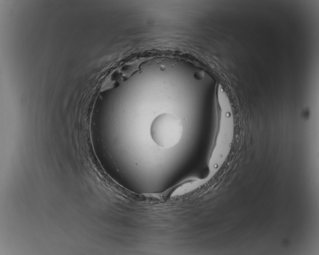 X0000116680769200912291719