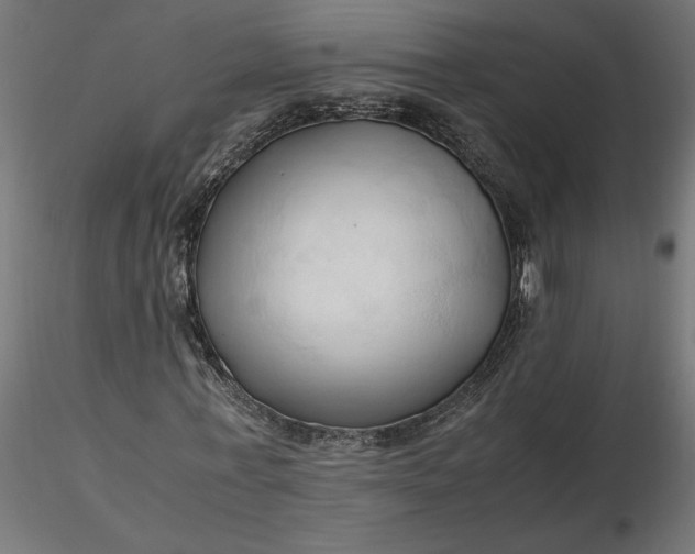 X0000116680771200912291718