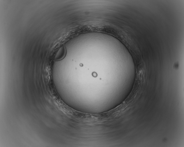 X0000116680772200912291718