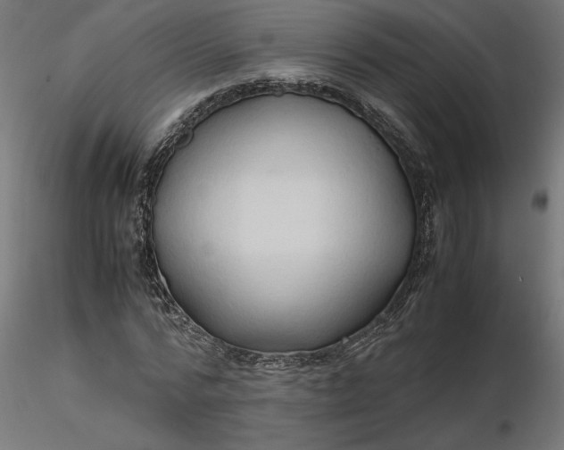 X0000116680776200912291718