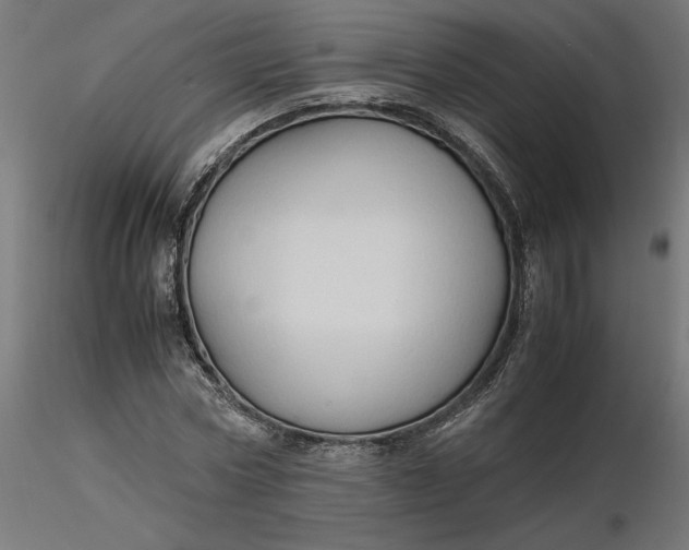 X0000116680778200912291718