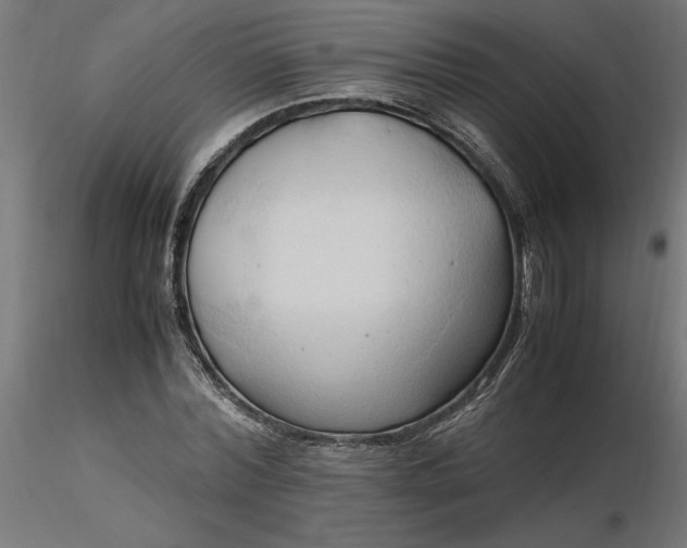 X0000116680780200912291718