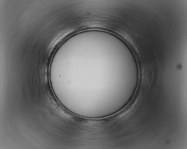 X0000116680782200912291718