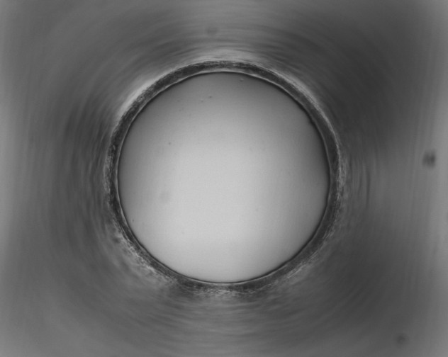 X0000116680783200912291718