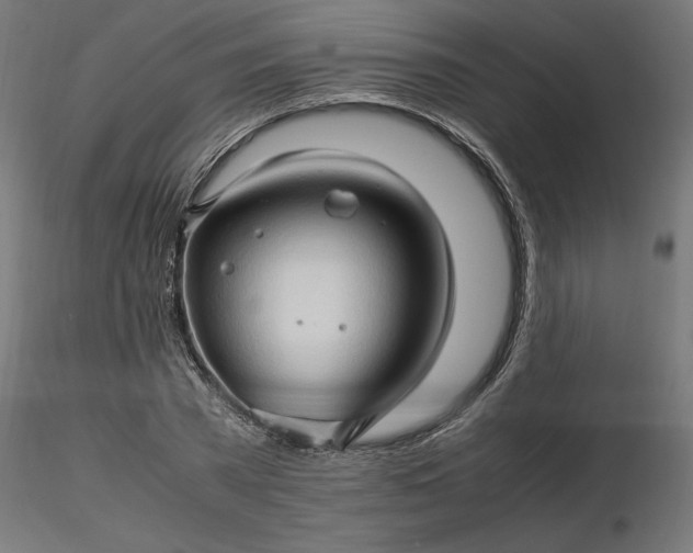 X0000116680785200912291718