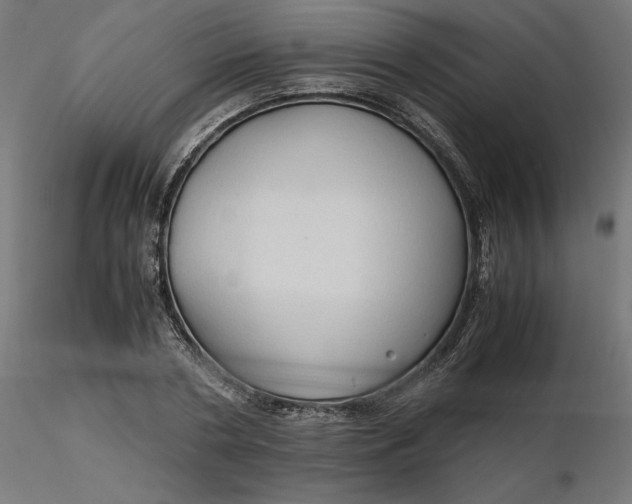 X0000116680786200912291718